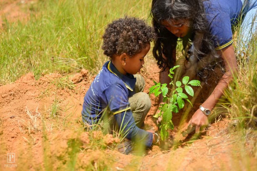 Reboisement du 13 mars 2026 Commune Fiadanana – Image 3 de Reboisement du 13 mars 2026 Commune Fiadanana